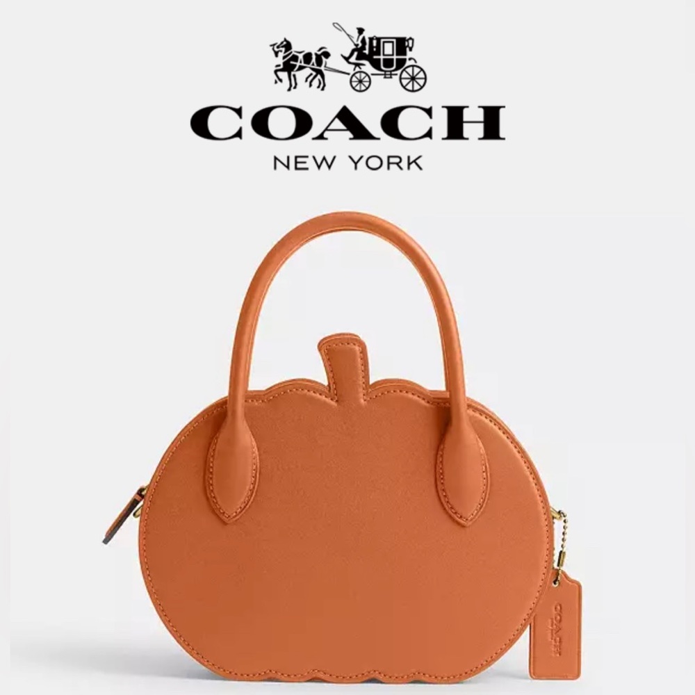 NWT Coach Fall Pumpkin Bag Orange Runway Leather Purse Zippered Case NYFW Handle